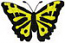 Butrfly2x