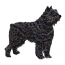 BOUVIER DES FLANORES