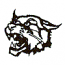 WILDCAT