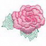 Small Peony