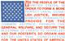 Constitutional Flag