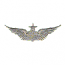 SR ARMY AVIATOR WINGS