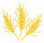 1" Wheat