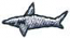 1" Shark