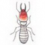 Soldier Termite