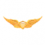 MILITARY WINGS