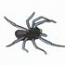 Hole Spider