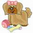 Toy Dog