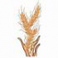 Wheat Border